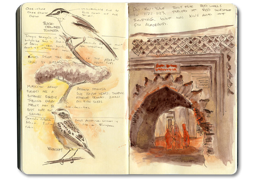 Marrakech Journal: Moroccan Instruments