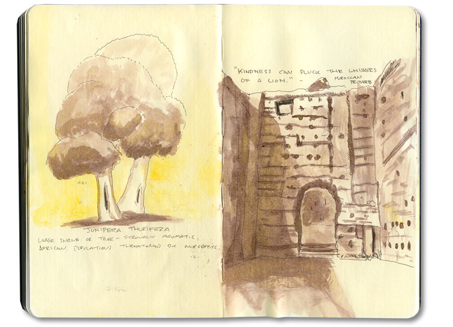 Marrakech Moleskine Journal
