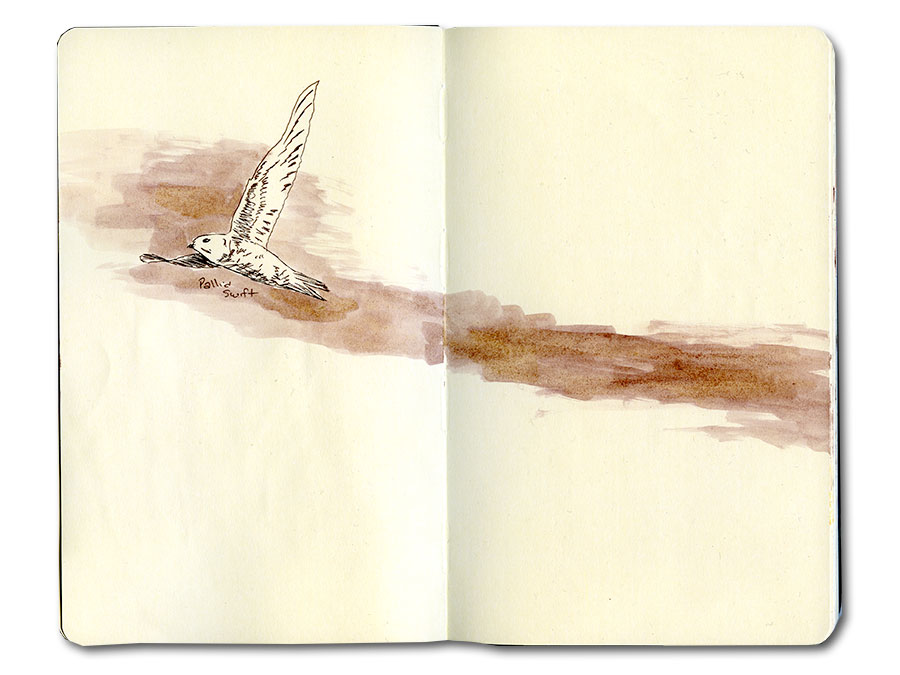 Journal Notes from Morocco