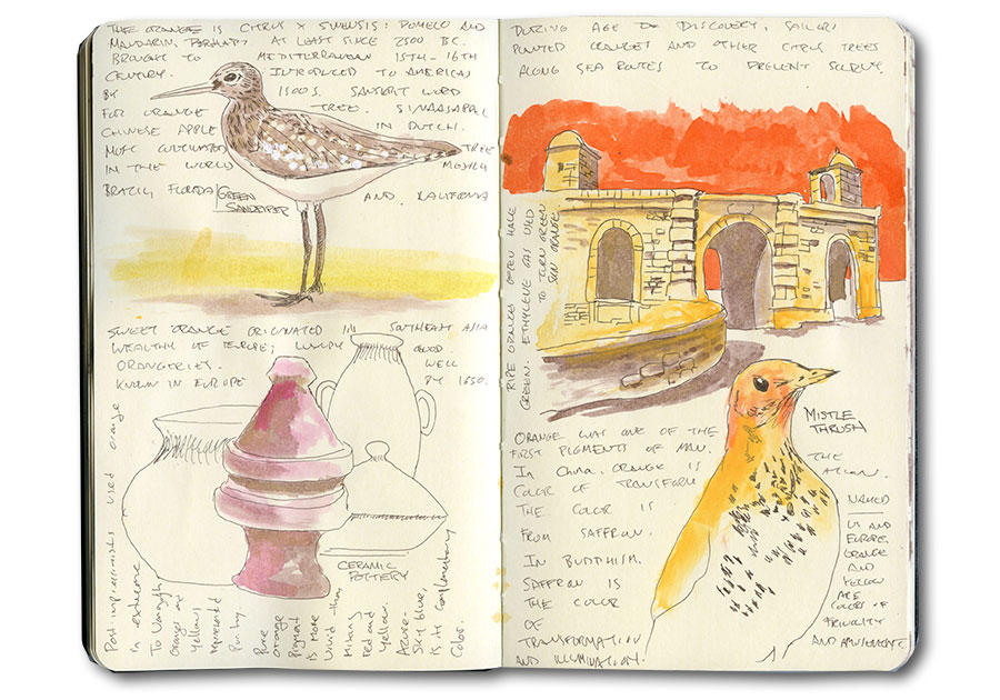 Mistle Thrush, Green Sandpiper, Morrocan Pottery