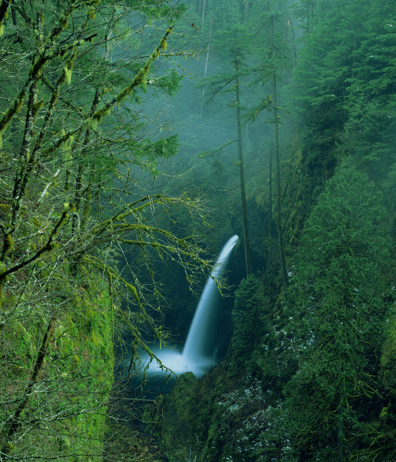 Image of Metlako Falls in the Eagle Creek Gorge within the vicinity of Portland, Oregon.