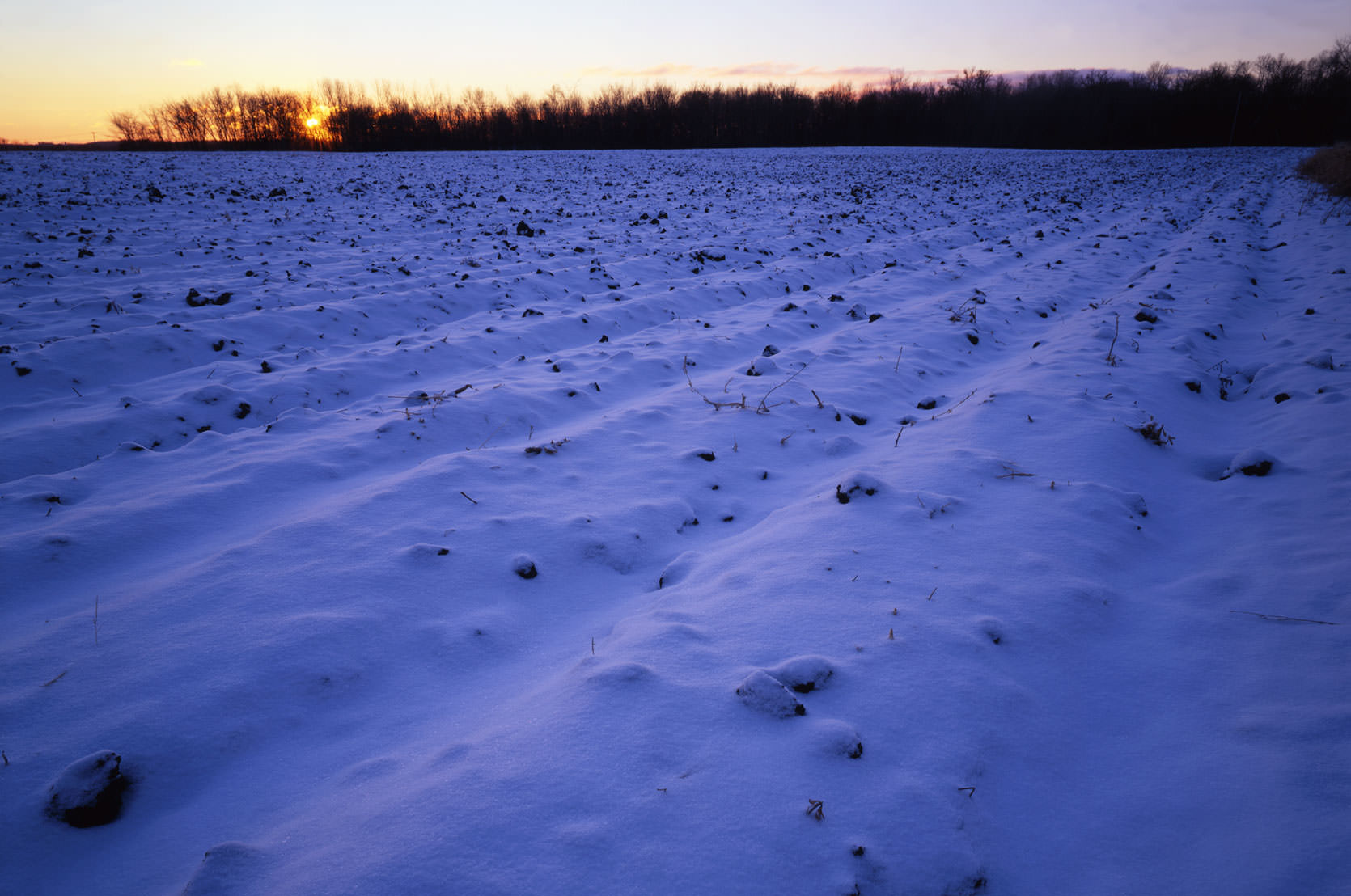 Minnesota farmland in winter.