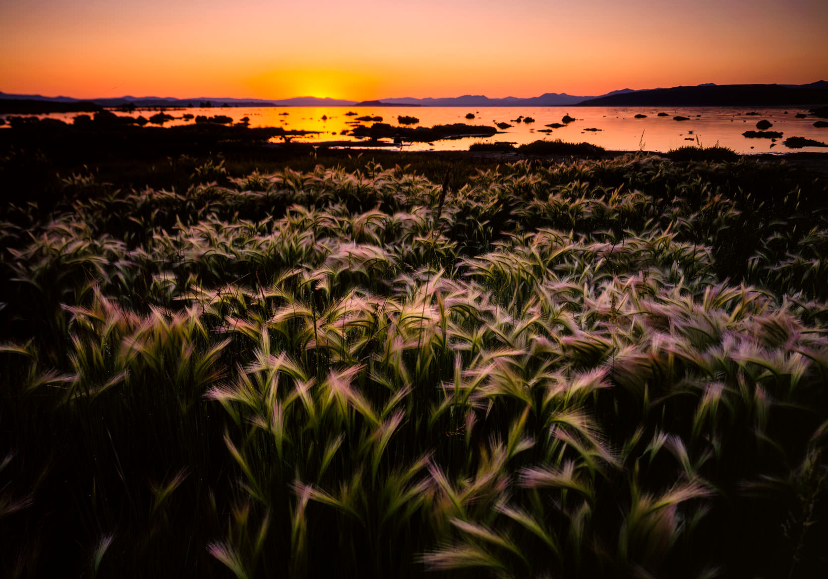 Mono Lake Photo