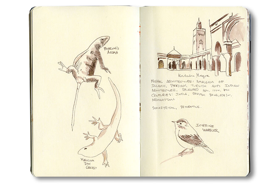 Morocco Notebook