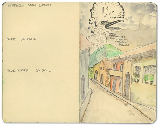 Sketches from Nicaragua