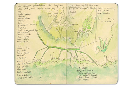 Moleskine Sketch Journal from Granada, Nicaragua