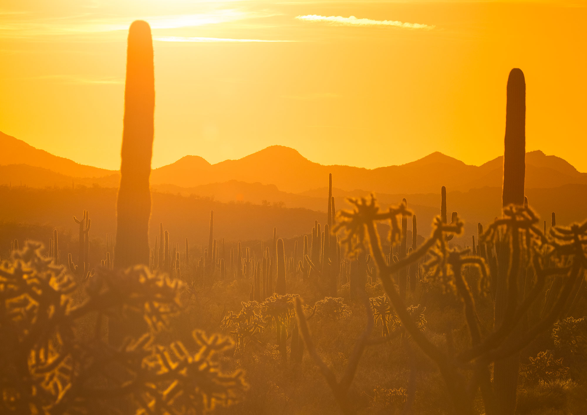 Sunset on Ajo Mountain Drive