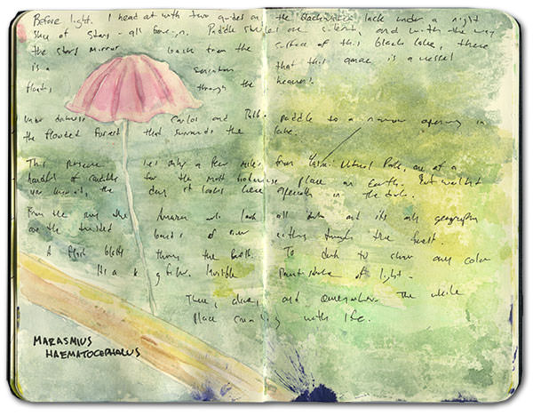 Oriente Moleskine