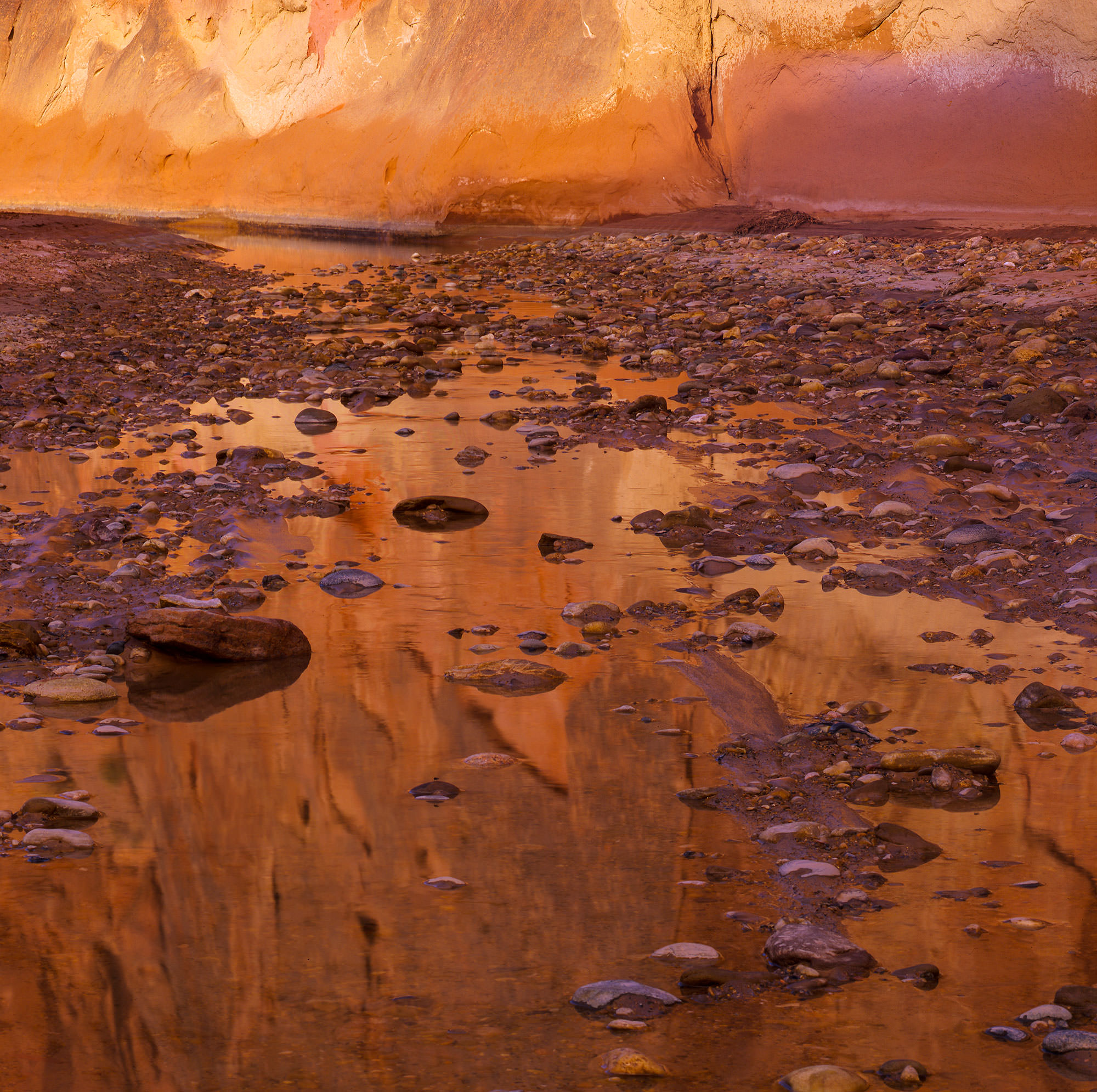 Morning glow and rocks in the Paria River