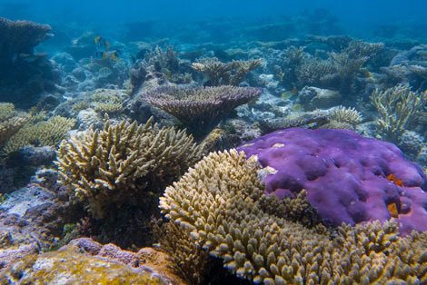 Patrick Moore holding his book