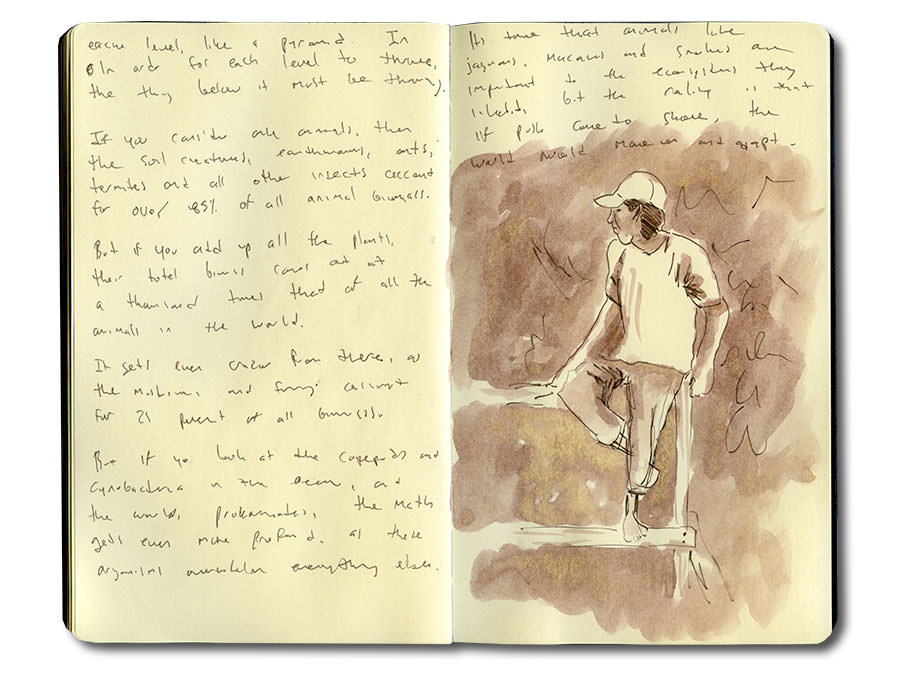 Boat guide notes from the Tambopata River