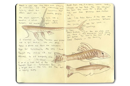 Moleskine Sketch Journal from Lima, Peru