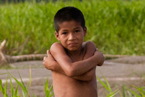 River Islands in the Amazon