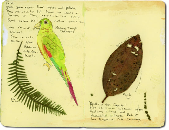 Ecuador Notes with parrot sketch