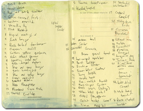 Moleskine notes of birds