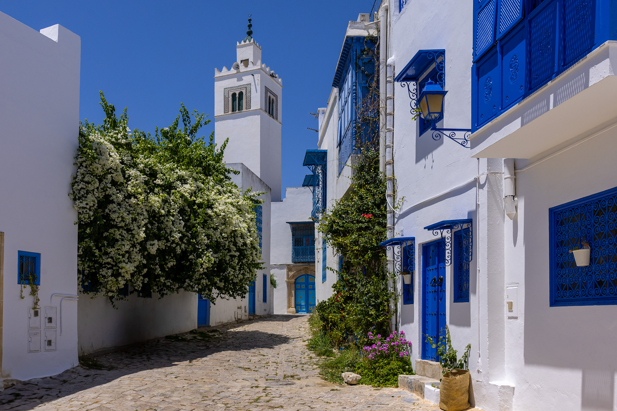 Whitewashed blue-and-white hilltop village of Sidi Bou Said, Tunisia, overlooking the Mediterranean under bright afternoon light.