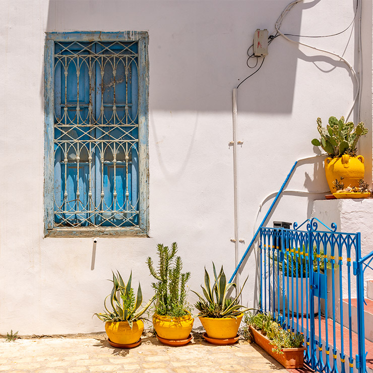 Sky-blue arched window in Sidi Bou Said with ornate wrought iron bars and a weathered wooden frame, set in a whitewashed wall beside yellow potted succulents, a blue metal gate, and a cactus in a yellow ceramic urn.