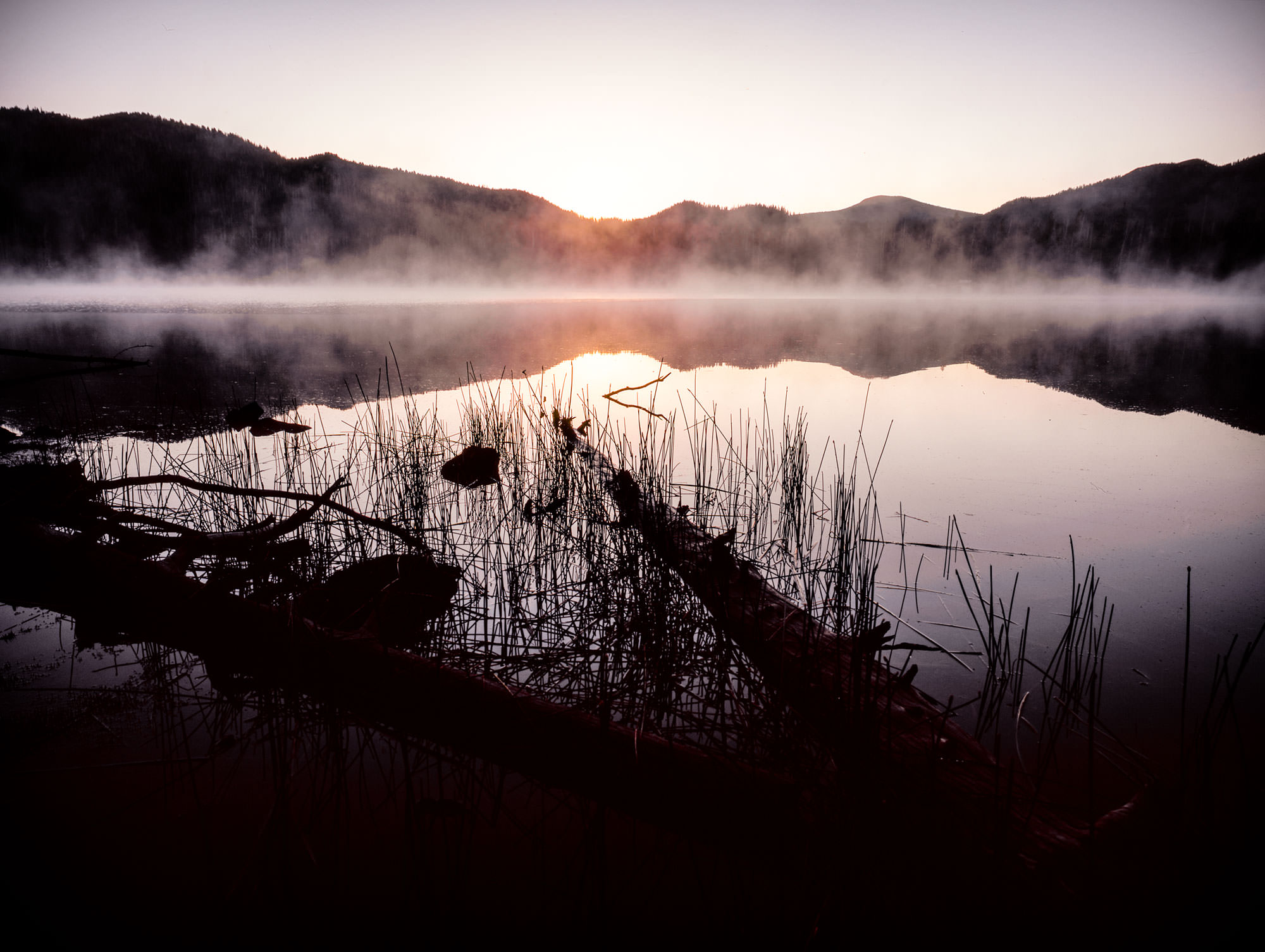 Morning mist rises over Sparks Lake in Oregon, with calm water reflecting surrounding hills and sparse reeds. Fallen logs rest partially submerged in the foreground.