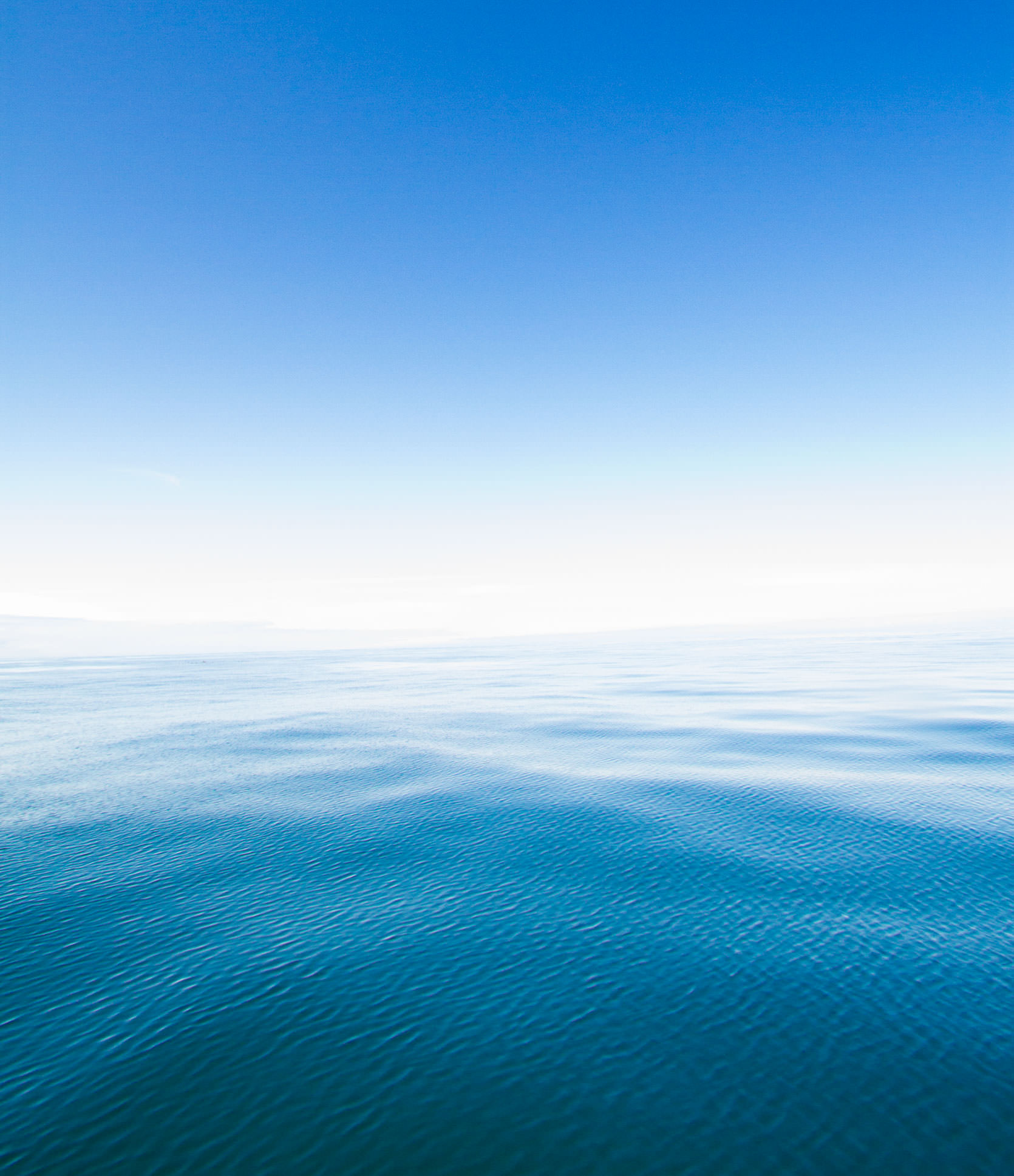 The Pacific Ocean Abyss