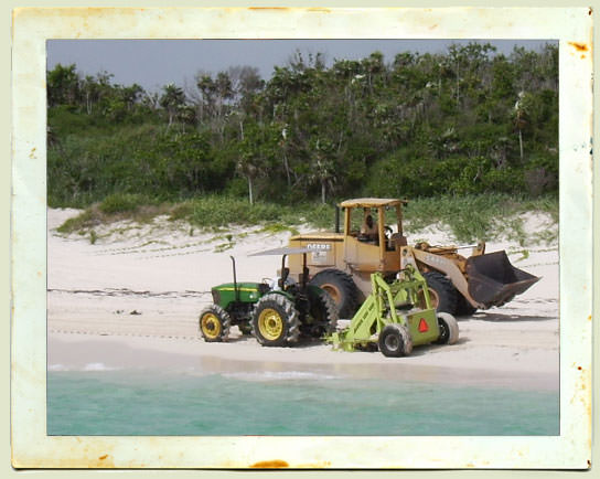 Turtle Breeding Grounds