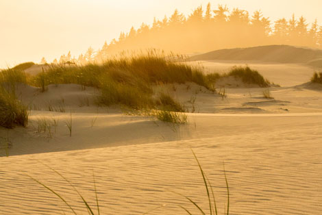 Umpqua Dunes