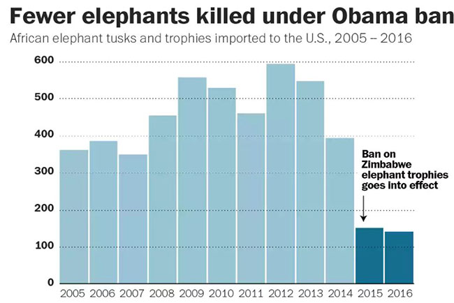 How to Pack your Cooler