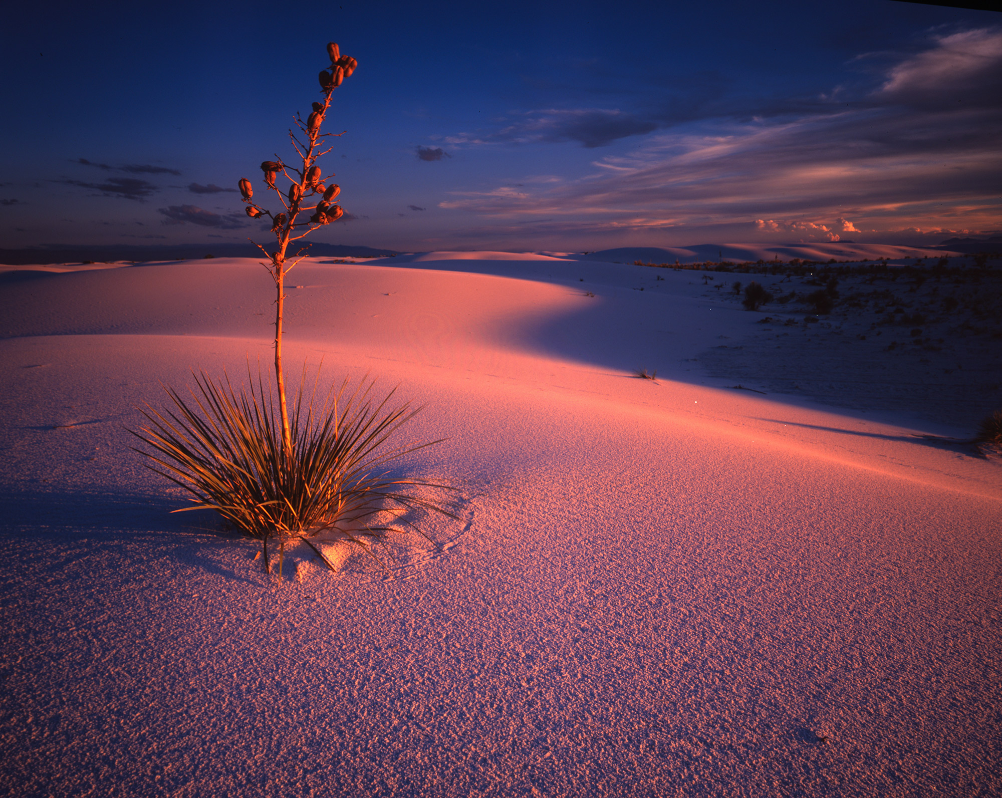 White Sands, New Mexico
