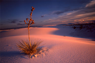 White Sands, New Mexico