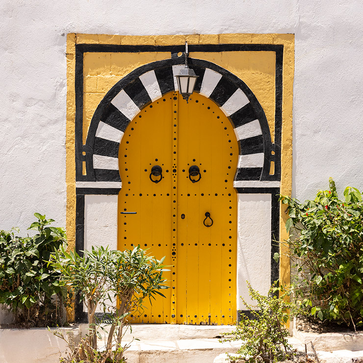 Bright yellow double door with black studs and iron rings in Sidi Bou Said, Tunisia, framed by a painted black-and-white horseshoe arch and a yellow border, flanked by flowering plants and topped with a hanging lantern.