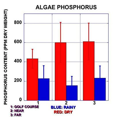 Algae Phosphorous