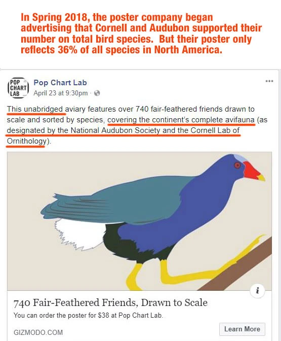 Birds of North America Poster