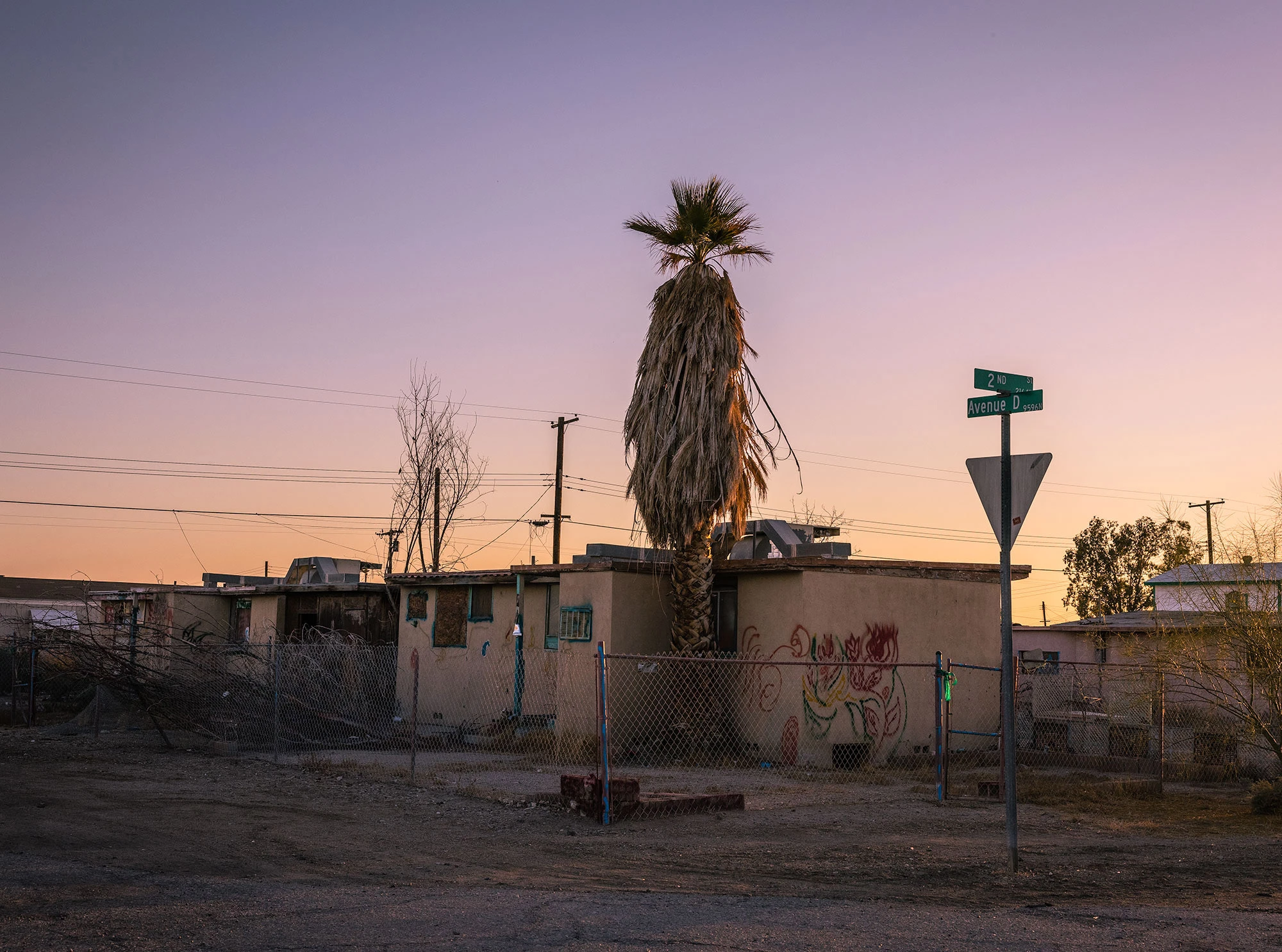 Abandoned home with a lone palm tree at Bombay Beach on California's Salton Sea, its boarded windows and crumbling walls standing in stark contrast to the desert sky and evoking the collapse of a once-thriving resort community.