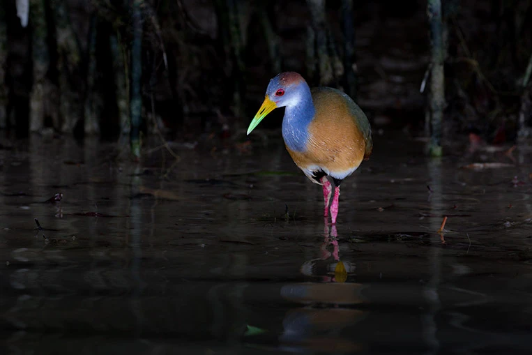 An Independent Travelogue - Notes from the Road