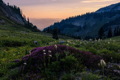Cispus Basin in the Goat Rocks Wilderness