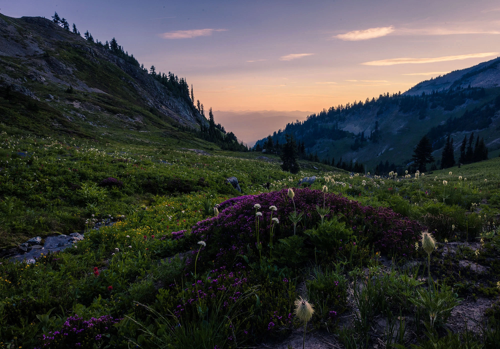 A sweeping view of Cispus Basin from the Pacific Crest Trail reveals alpine meadows, jagged ridges, and pockets of lingering snow beneath a wide Washington sky. The Goat Rocks Wilderness unfolds in dramatic layers of color and light.