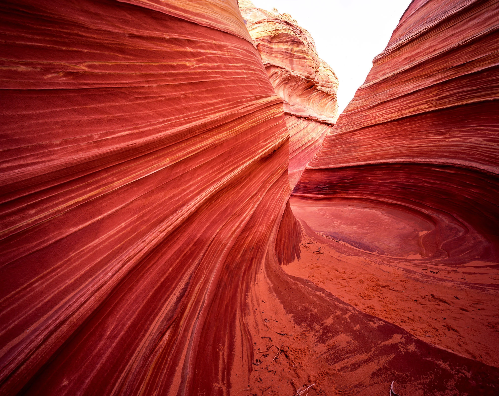 Iconic view of The Wave in Coyote Buttes North, its undulating sandstone ridges flowing like frozen waves of orange and red. Light and shadow reveal the rock's swirling patterns, sculpted over millions of years by wind and water. A photographer's tripod stands in the distance, giving scale to the vast stone formation.