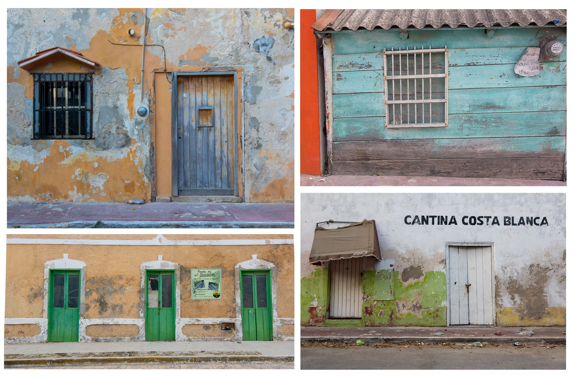 Doors and Windows of the Tropics