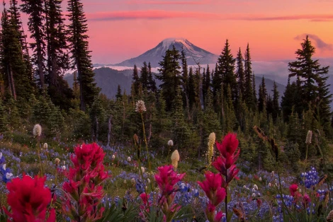 Gifford-Pinchot Wilderness