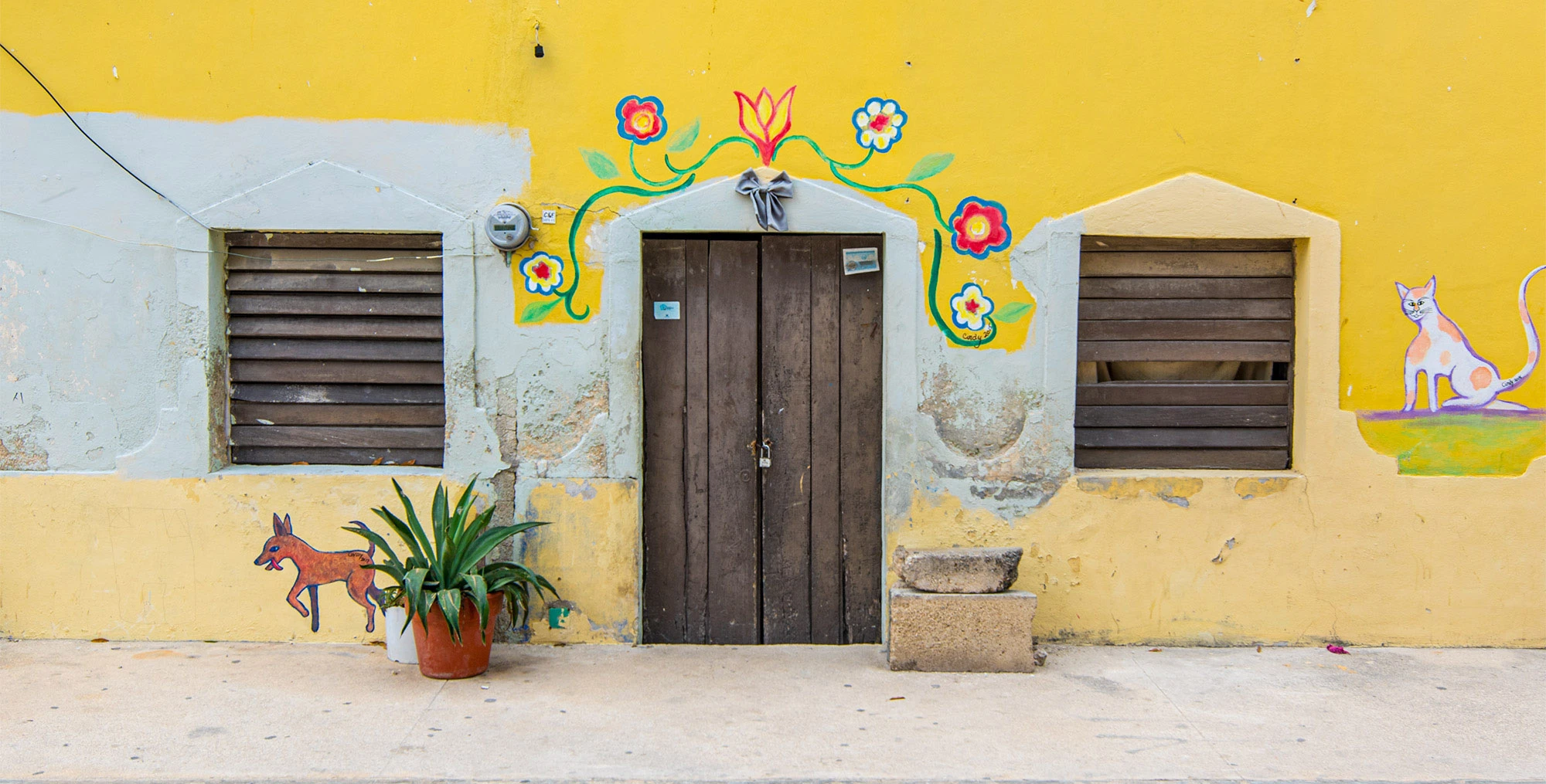 Celestun, Mexico Happy Doors and Windows