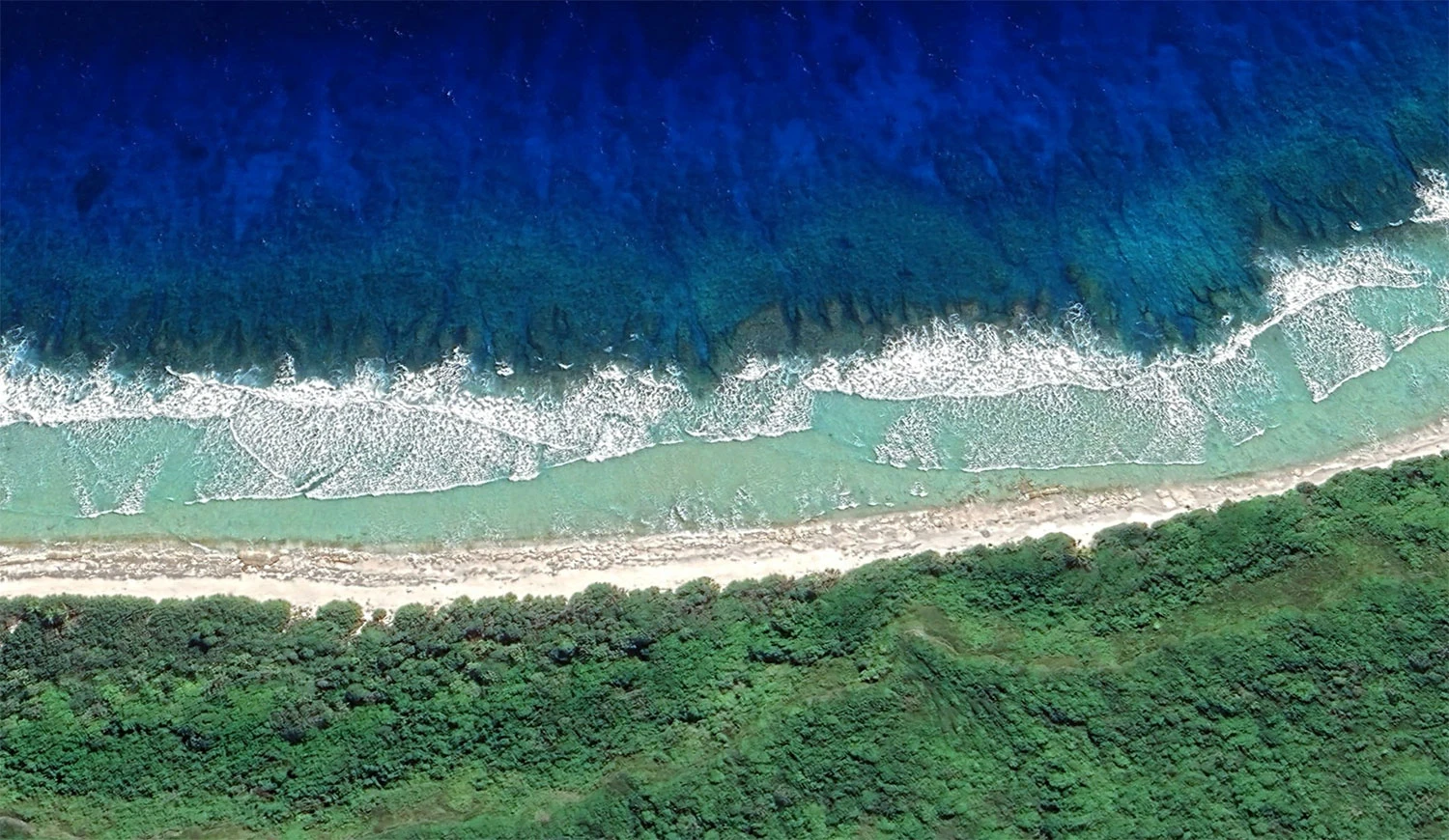 Beaches on Henderson Island