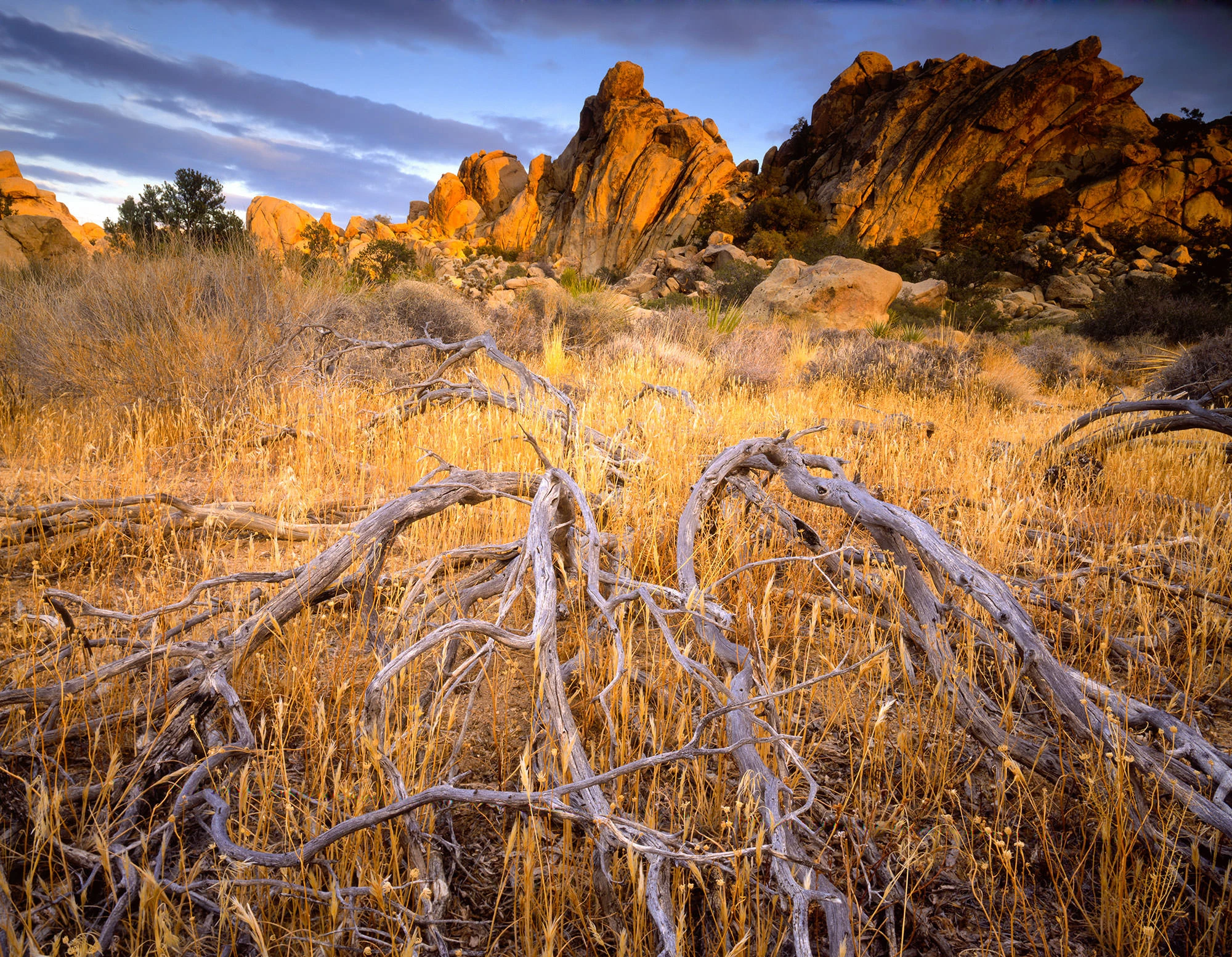 Hidden Valley, Joshua Tree National Park