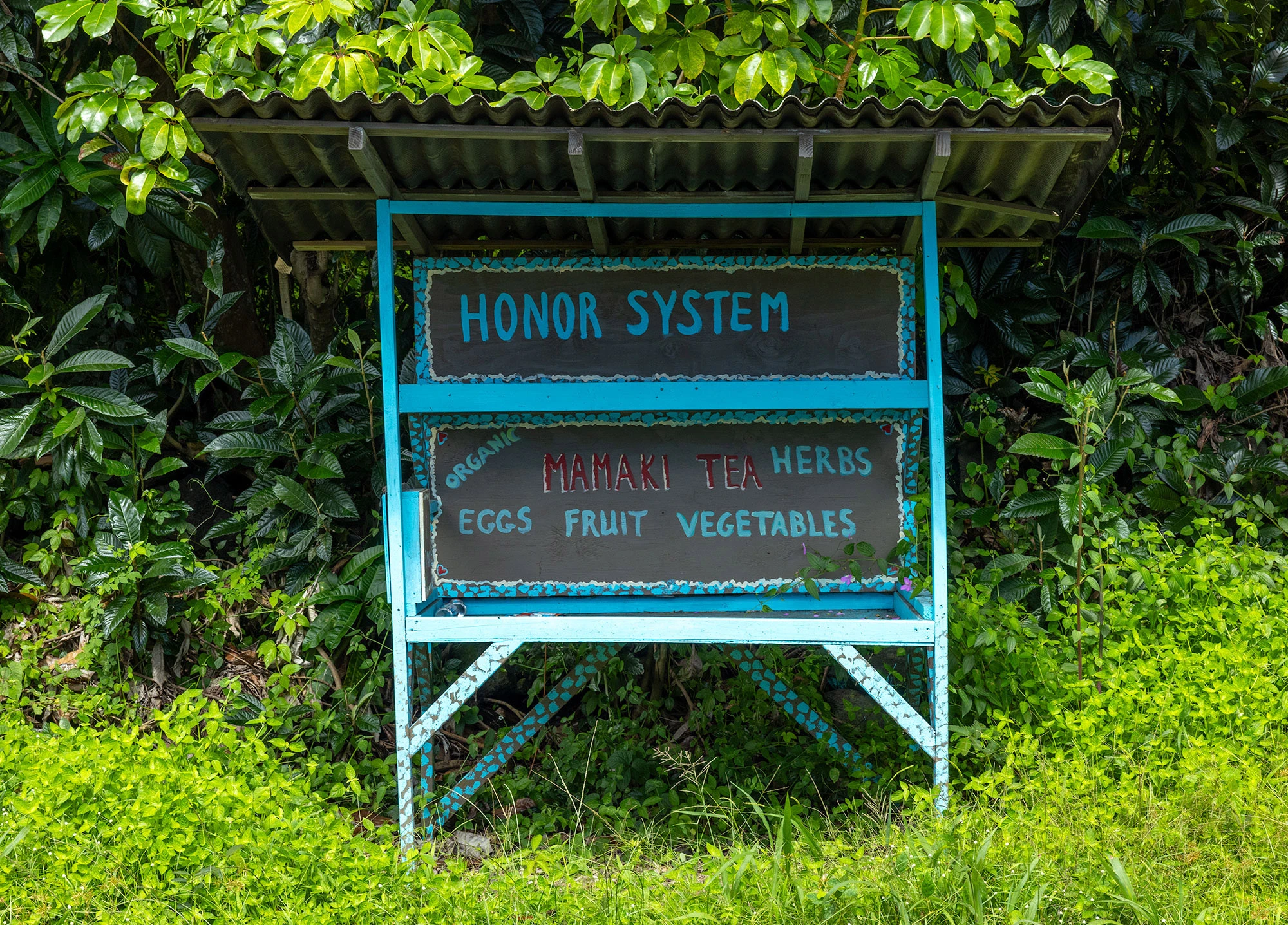 In the Nāpō'opo'o settlement along Kealakekua Bay, a colorful honor-system fruit stand offers fresh papayas and bananas beneath a tin roof. These simple roadside stalls dot the quiet coastal roads, inviting passersby to take and leave payment in a rusted tin can.