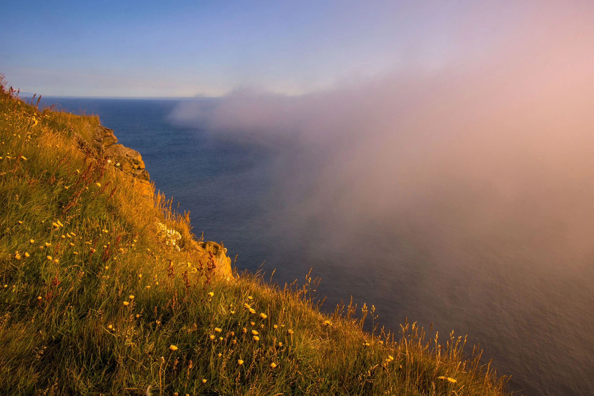 Sweeping view of the Látrabjarg Cliffs in Iceland's remote Westfjords, where sheer rock walls drop dramatically into the North Atlantic Ocean and thousands of nesting seabirds, including puffins and razorbills, cling to the ledges.