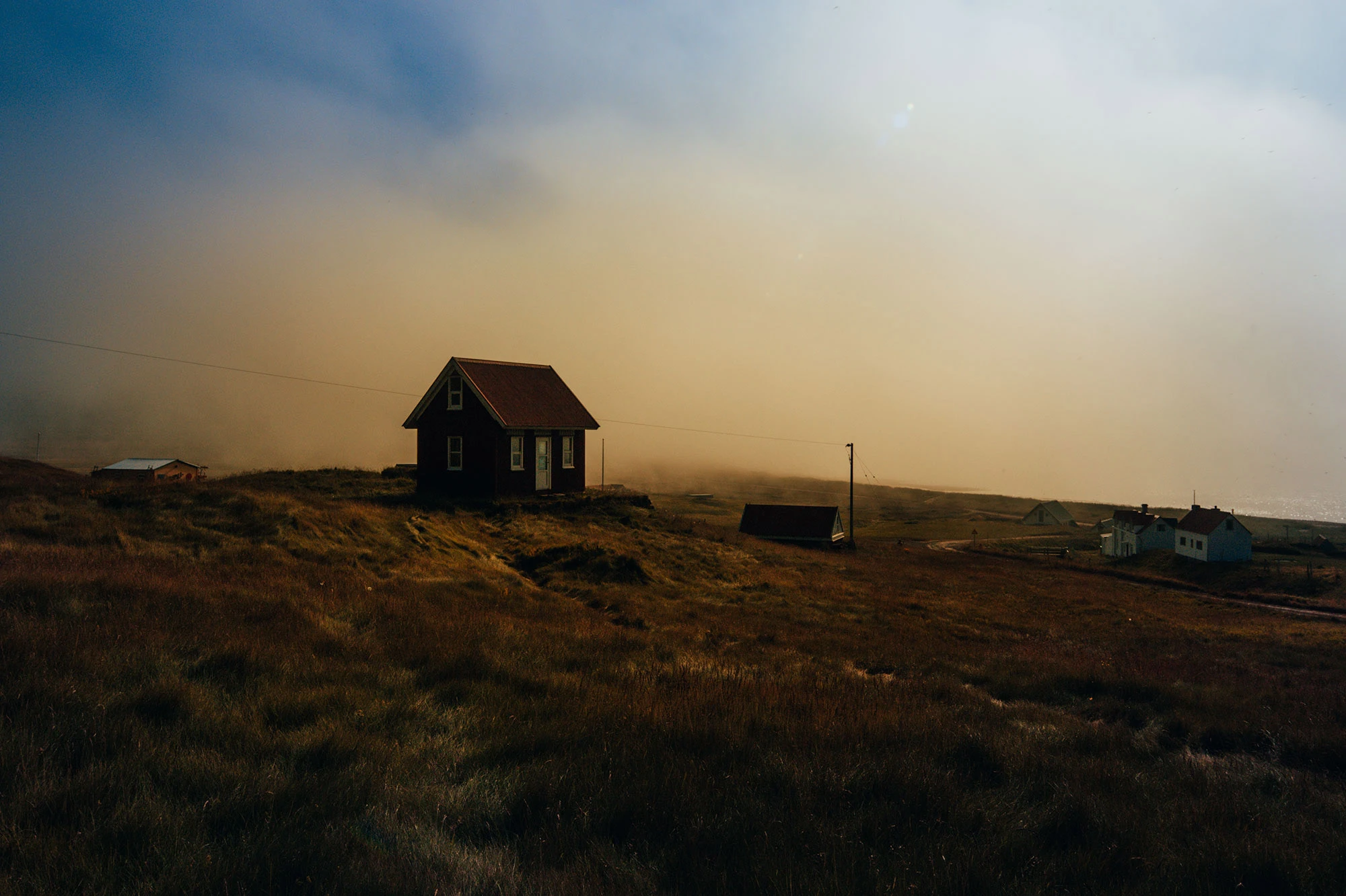 Atlantic Puffins perched along the dramatic Látrabjarg Cliffs in Iceland's remote Westfjords, with seabirds soaring over steep rock faces that plunge into the North Atlantic Ocean.