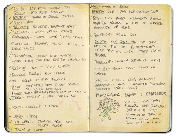 Sweetsop in St Lucia