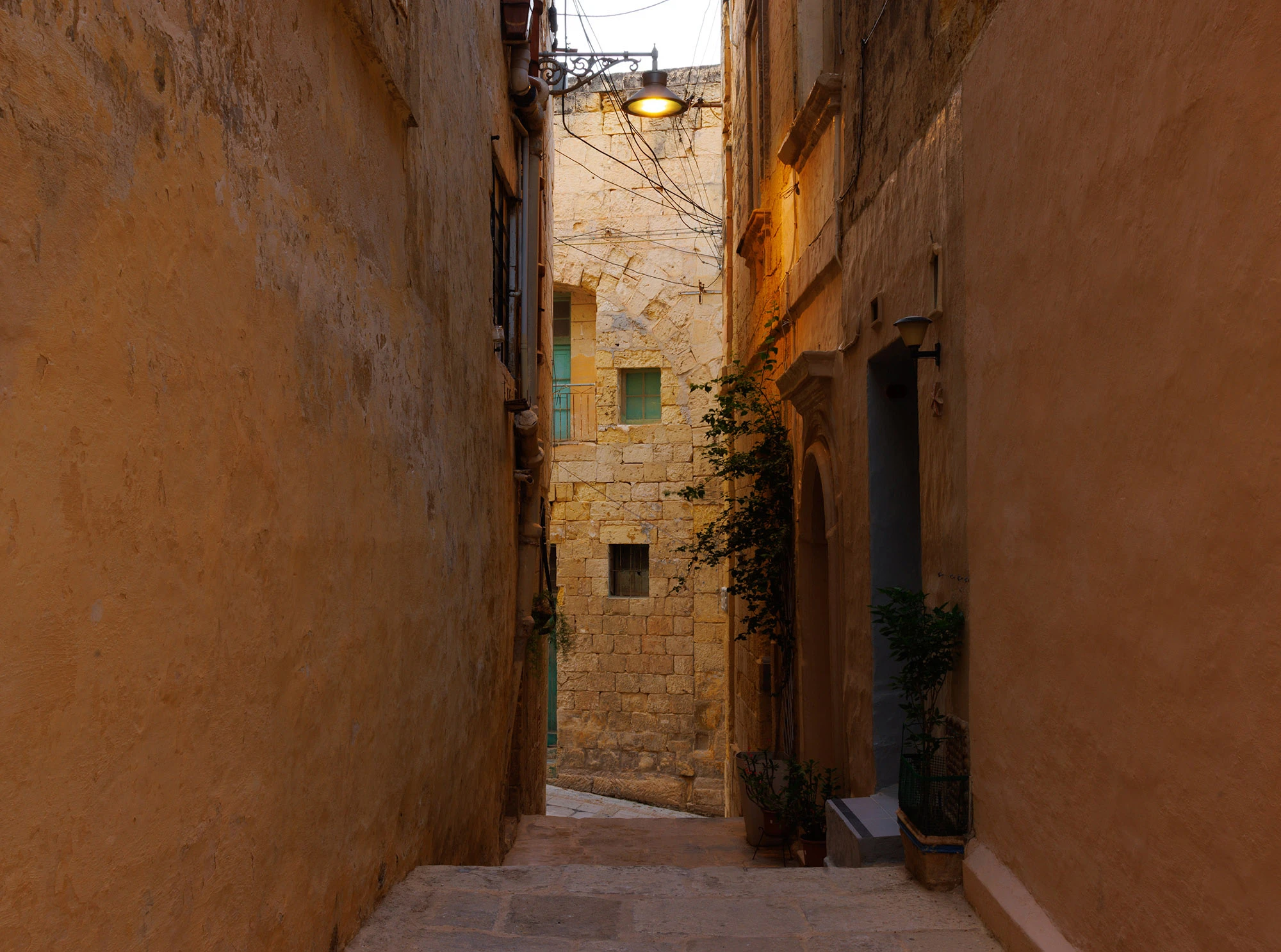 An early morning scene in Mdina, Malta, where a narrow stone alley is still in shadow except for a warm glow catching the upper walls. The limestone facades rise close together, their weathered surfaces showing centuries of age. A single streetlamp hangs overhead, still lit, while green-painted windows punctuate the far wall. Potted plants and creeping vines soften the hard stone edges, giving life to the Silent City's quiet dawn.