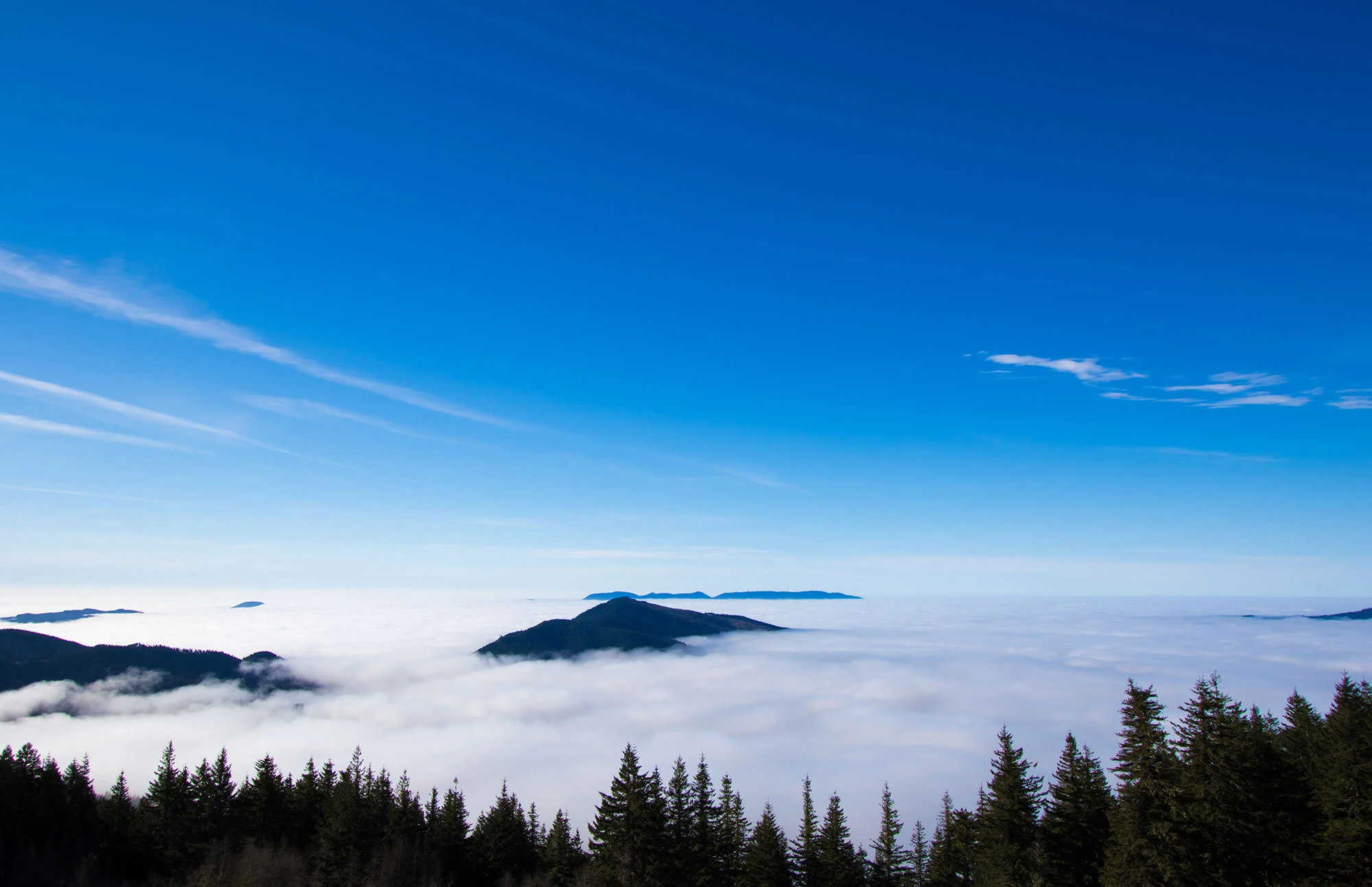 Marys Peak in Oregon rising above a sea of clouds, with evergreen forests in the foreground and a clear blue sky overhead
