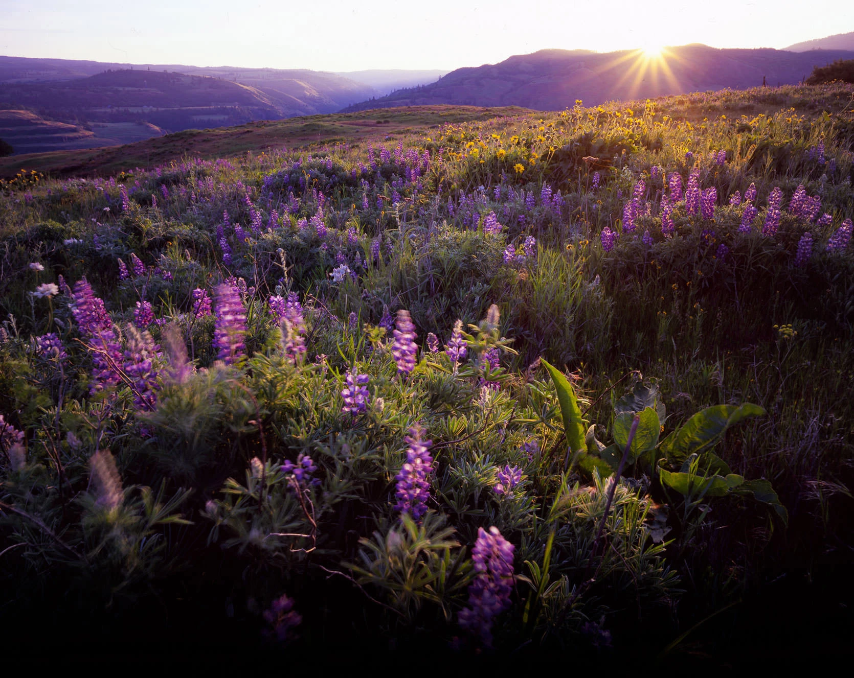 Mosier, Oregon: Shades of the Hood River Valley