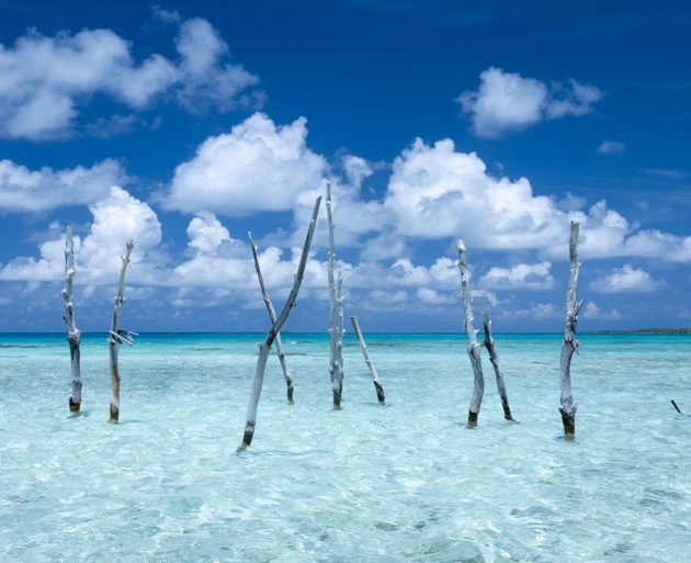 Tikehau in the Tuamotus