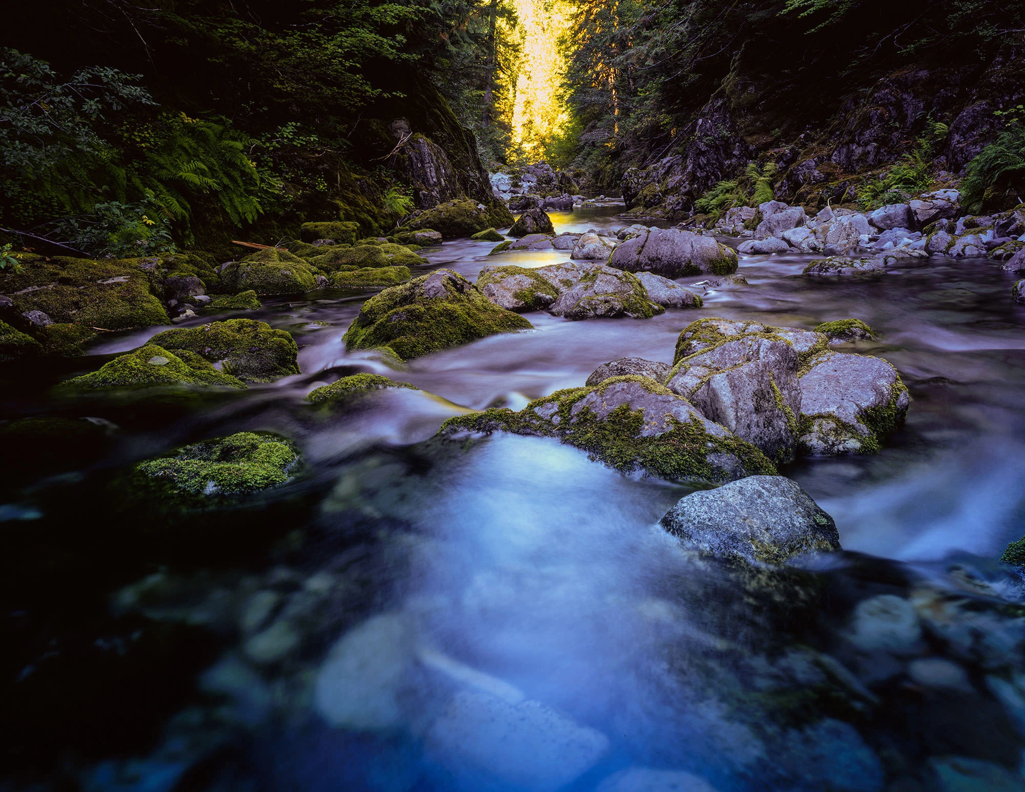 Opal Creek Pools in Oregon with moss-covered boulders, flowing turquoise water, and golden light streaming through the forest canyon